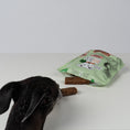 Bild in Galerie-Betrachter laden, VEGDOG Dentals