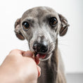Bild in Galerie-Betrachter laden, VEGDOG Mini Pures