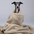 Bild in Galerie-Betrachter laden, Ein Hund ruht eingekuschelt auf der warmen, dicken Kuscheldecke aus Fleece und Teddy Material.