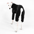 Bild in Galerie-Betrachter laden, Whippet Bekleidung