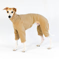 Bild in Galerie-Betrachter laden, Whippet Overall Camel Fleece