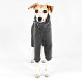 Bild in Galerie-Betrachter laden, Whippet Fleece Jumpsuit Graphite