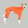 Bild in Galerie-Betrachter laden, Whippet Fleece Overall Halloween