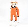 Bild in Galerie-Betrachter laden, Whippet Fleece Overall Orange