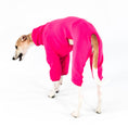 Bild in Galerie-Betrachter laden, Whippet Fleece Overall Magenta