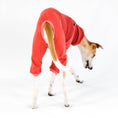 Bild in Galerie-Betrachter laden, Whippet Fleece Overall Terracotta