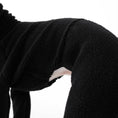 Bild in Galerie-Betrachter laden, Whippet Bekleidung