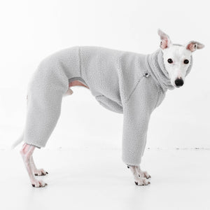 Whippet Teddy Overall