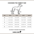 Bild in Galerie-Betrachter laden, Whippet Clothing Size Chart 2025