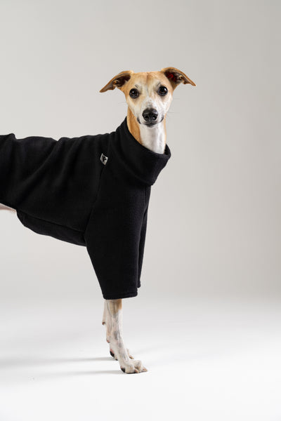 Modebewusster Whippet im schwarzen Fleece-Pullover von Karma Hund – sportlich, schlicht und gemütlich.