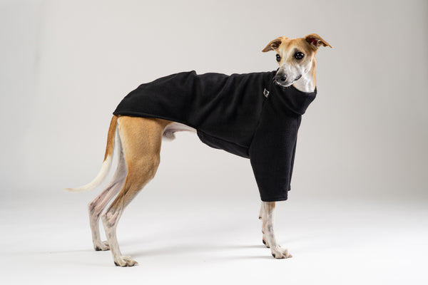 Whippet trägt schwarzen Fleece-Pullover von Karma Hund – stilvolle und warme Hundemode für kalte Tage.