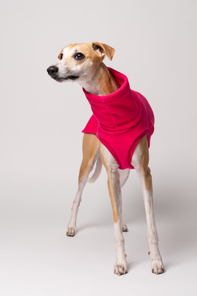 Whippet Windhund Fleece Long Shirt bequemer Passform