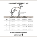 Bild in Galerie-Betrachter laden, Whippet Harness Size Chart 2025