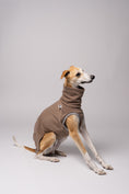 Bild in Galerie-Betrachter laden, Whippet in Bewegung im Long Shirt in Walnut – funktionale Windhundkleidung für aktive Hunde