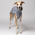 Bild in Galerie-Betrachter laden, Whippet im Long Shirt in Light Grey – stilvolle Windhundmode in elegante Farben und bequemer Passform