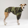 Bild in Galerie-Betrachter laden, Modebewusster Whippet im Camouflage Karma Hund Fleece-Pullover – bequemer und robuster Look im Studio.