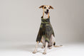 Bild in Galerie-Betrachter laden, Whippet im Karma Hund Camouflage Fleece-Pullover – modische Hundebekleidung mit sportlichem Design.