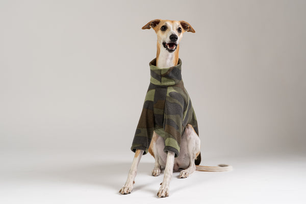 Whippet im Karma Hund Camouflage Fleece-Pullover – modische Hundebekleidung mit sportlichem Design.