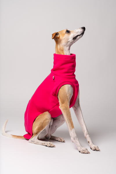 Whippet Saluki Windsprite im ärmellosen Long Shirt – idealer Schnitt für maximale Bewegungsfreiheit