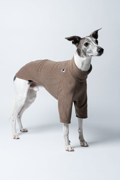 Whippet-Modell frontal im warmen Walnut‑Fleecepullover – atmungsaktiv, bequem, handgemacht in Berlin