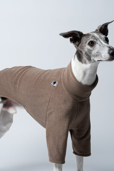 Whippet Seite: Ideal sitzender Pullover in Walnut, Rücken gerade, Beine entspannt