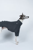 Bild in Galerie-Betrachter laden, Whippet im Profil trägt Fleecepullover in Graphite – ergonomischer Schnitt für Windhundkörper