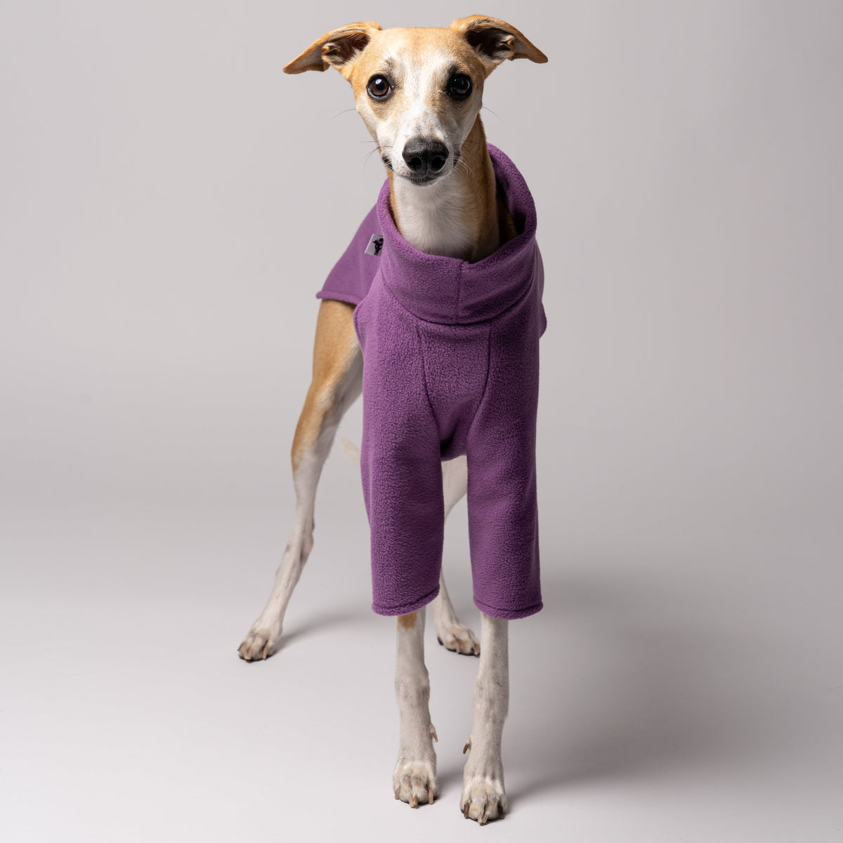 Hundebekleidung & Zubehr Weicher Hundemantel Fr Kleine Hunde  Winddicht,  Warm Gefttert, In Gre L, Violett, Perfekt Fr Kalte Tage Winddichter  Hundepullover Winter