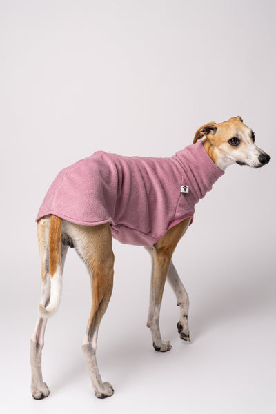Whippet im Long Shirt aus Fleece – körpernah geschnittene Windhundkleidung für kalte Tage
