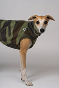 Bild in Galerie-Betrachter laden, Junger Whippet im auffälligen Camo Long Shirt – ideal für graue Tage