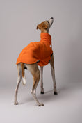 Bild in Galerie-Betrachter laden, Ansicht von hinten - Whippet in bequemen Long Shirt aus Polar Fleece