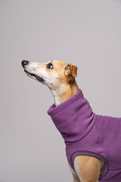 Windhund im ärmellosen Long Shirt – idealer Schnitt für maximale Bewegungsfreiheit