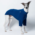 Bild in Galerie-Betrachter laden, Junger Whippet Rüde frontal im Fleecepullover in Navy – perfekt geschnitten für Windhund-Proportionen