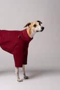 Bild in Galerie-Betrachter laden, Detailansicht - Whippet trägt Hundepullover aus Fleece handgefertigt in Berlin