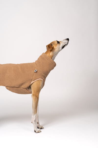 Natürlicher Farbton mit Struktur – Whippet im Teddy-Fleece in Camel