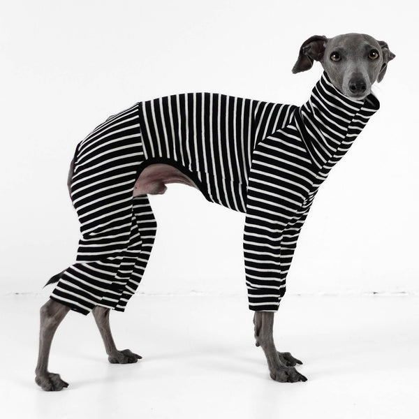 Breton Shirt for Italian Greyhound
