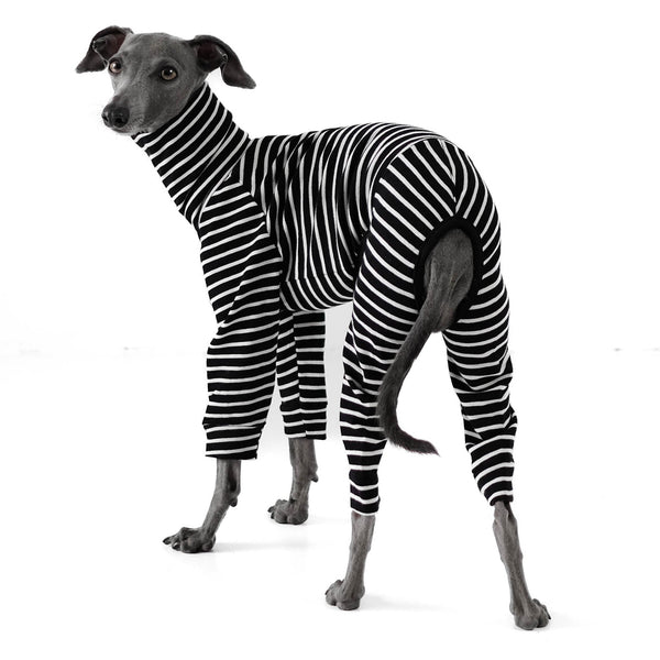 Breton Shirt für Windspiele