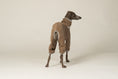 Bild in Galerie-Betrachter laden, Italienisches Windspiel trägt Overall in Walnut aus weichem Fleece-Material