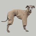 Bild in Galerie-Betrachter laden, WINTER OVERALL 2.0 Iggy Taupe