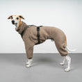 Bild in Galerie-Betrachter laden, WINTER OVERALL 2.0 Windhund Taupe