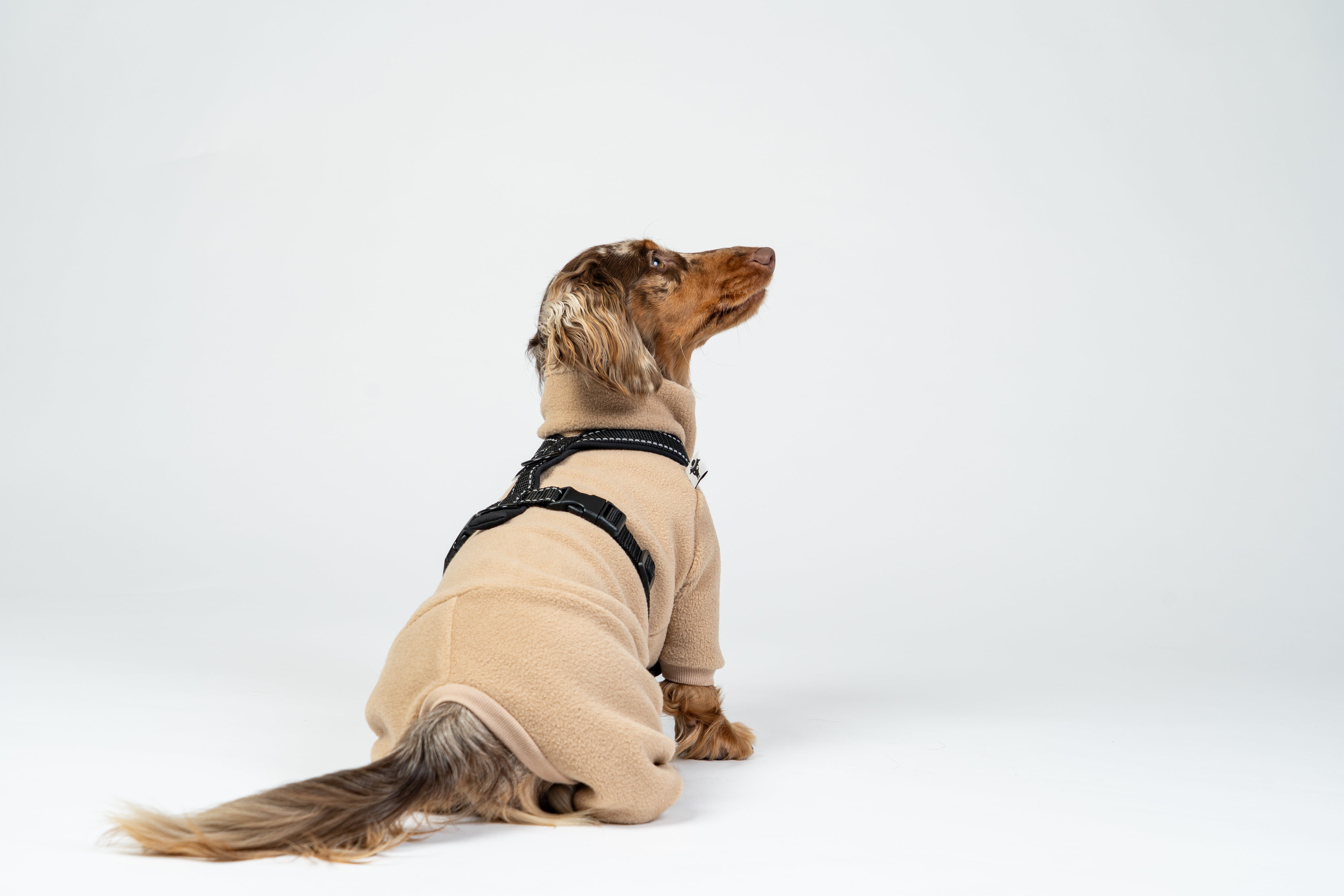 Warum unsere Overalls, Pullover & Shirts keine Öffnung für die Leine haben – und keine Verschlüsse brauchen