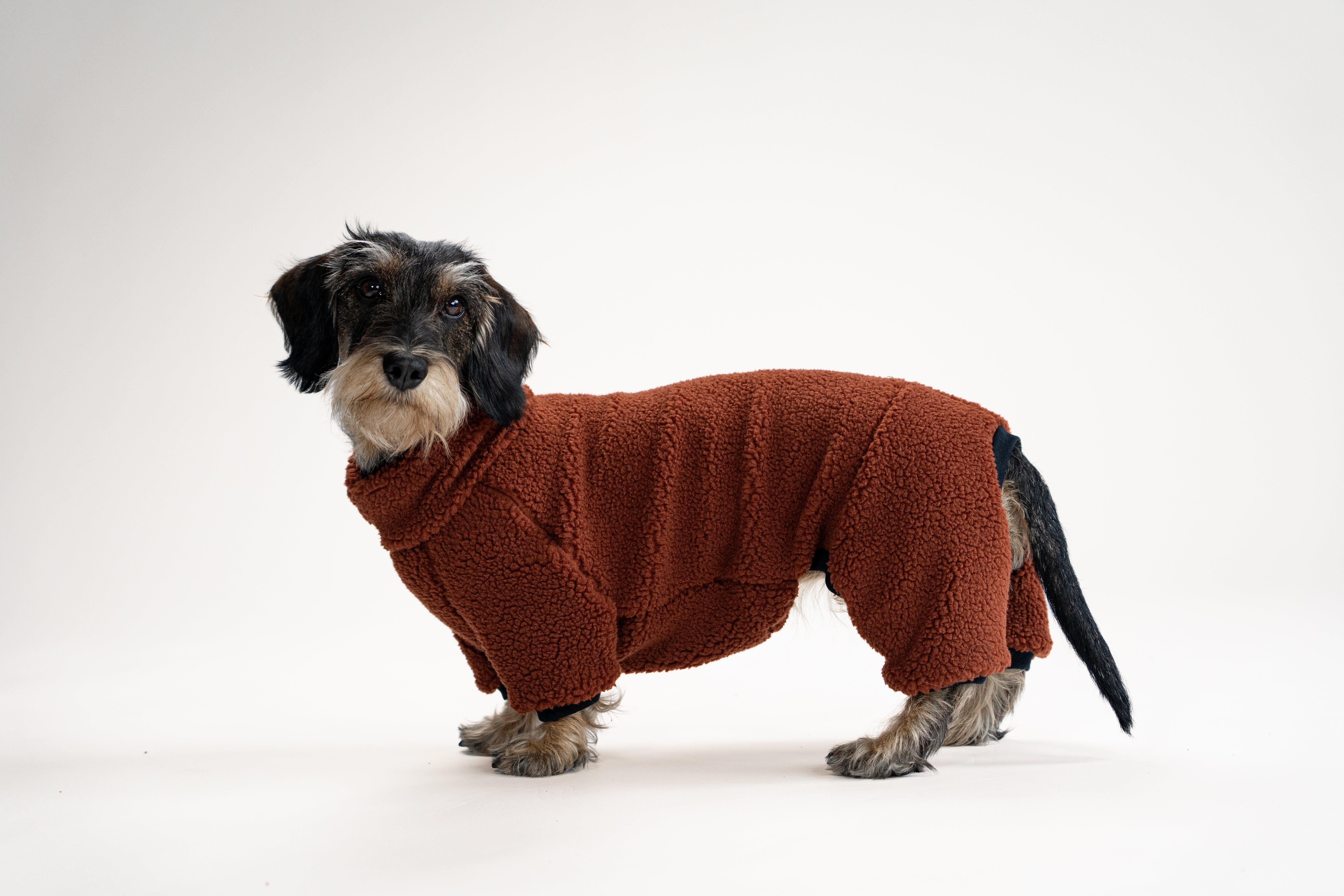 Pflegehinweise für Karma Hund Kleidung