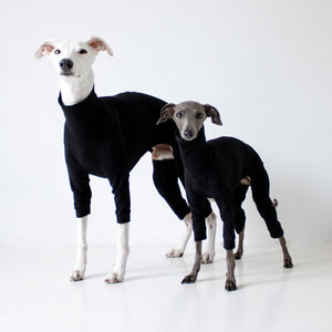 Windspiel Whippet Dackel Overall