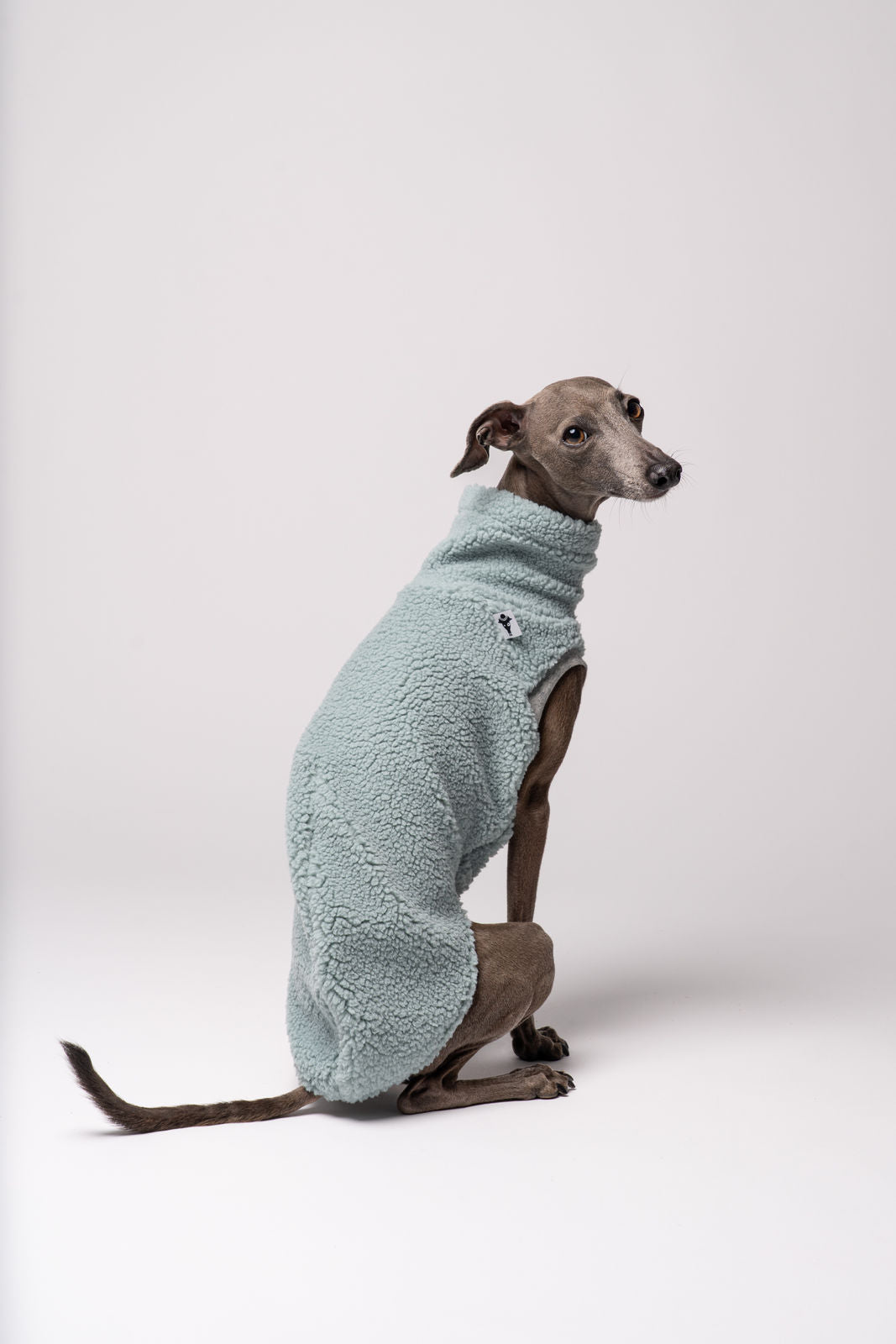 Windspiel Teddy Long Shirt Mint