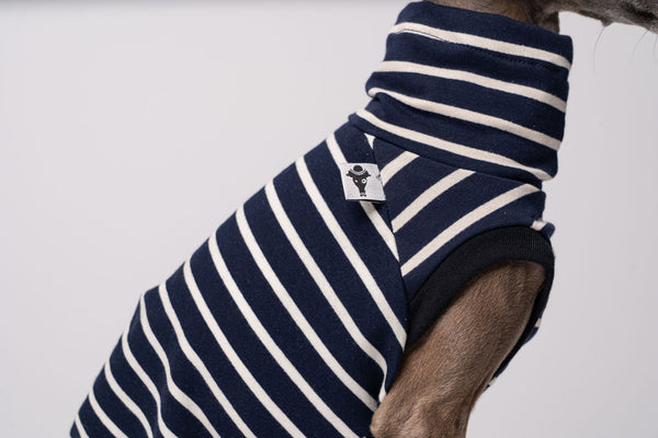 Italian Greyhound Clothing