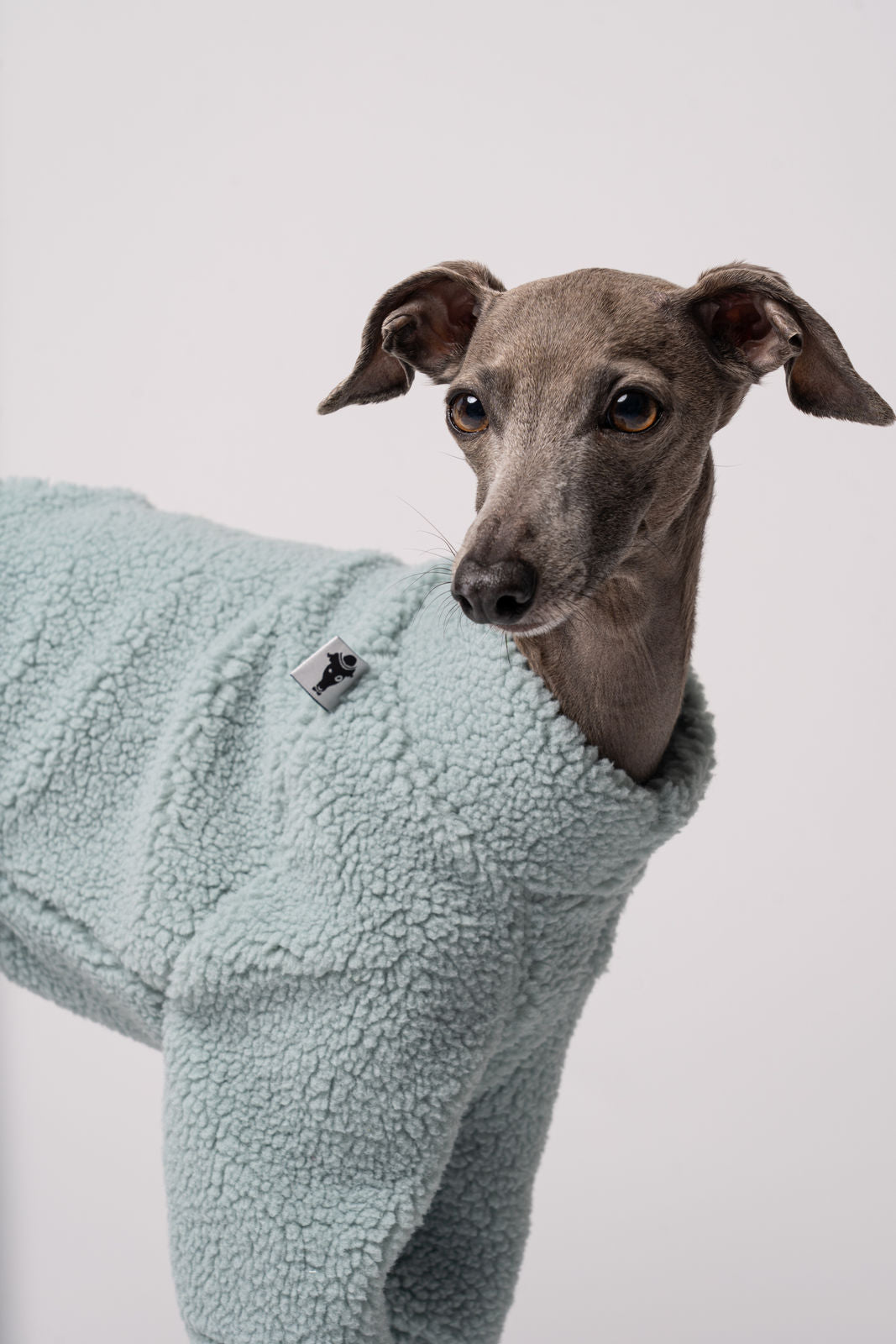 Italienisches Windspiel Pullover Mint Teddy