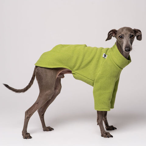 Windspiel Pullover Light Green
