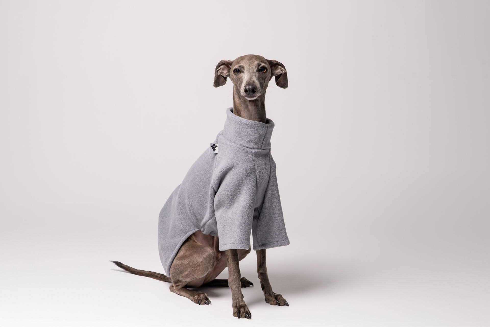 Windspiel Fleece Pullover Light Gray