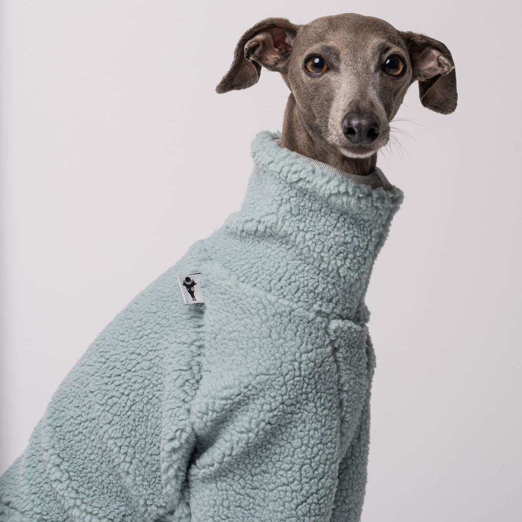 Italienisches Windspiel Teddy Overall Mint