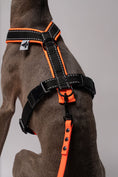 Bild in Galerie-Betrachter laden, RAINLEASH Slim Neon Orange
