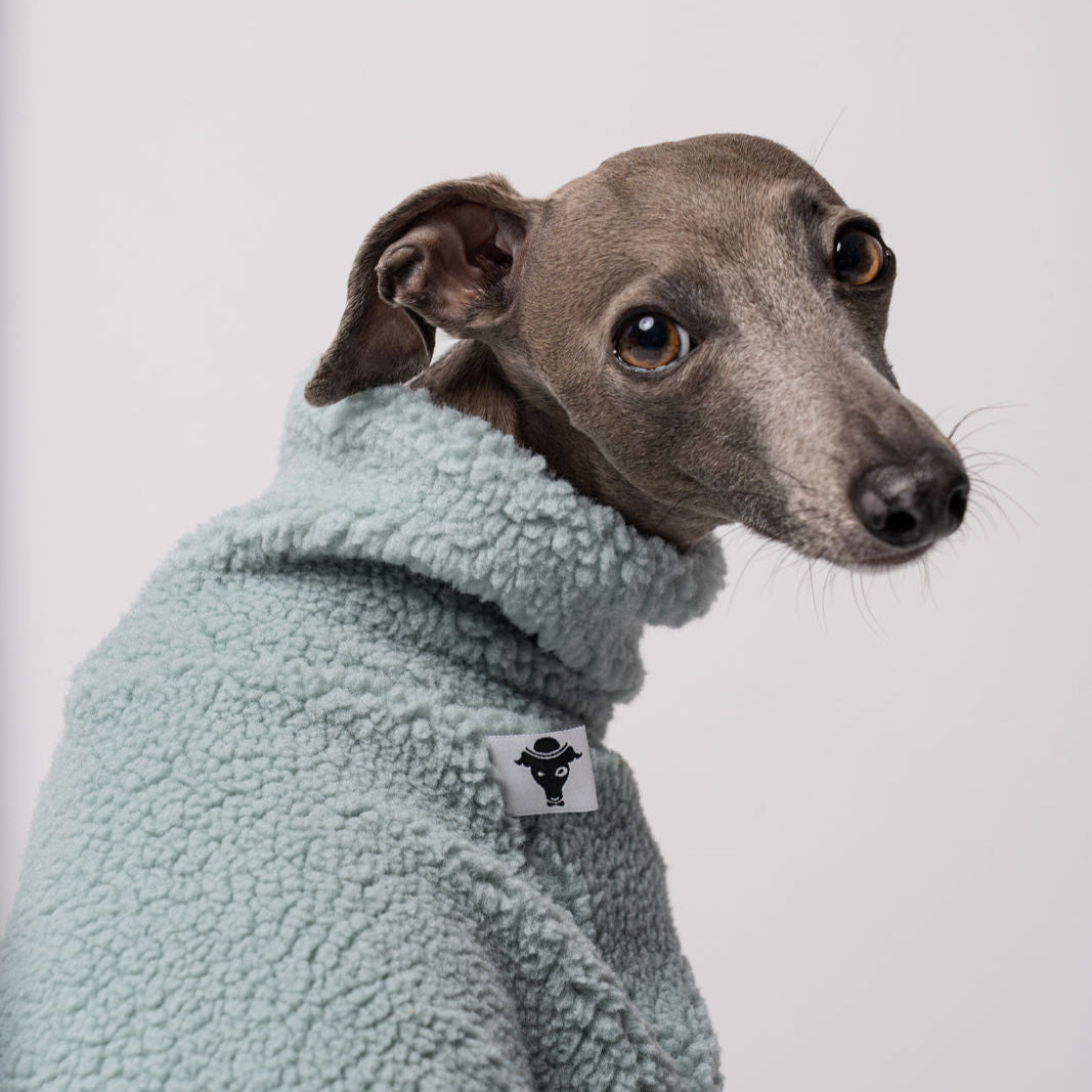 Windspiel Teddy Overall Mint